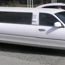 limousine 101